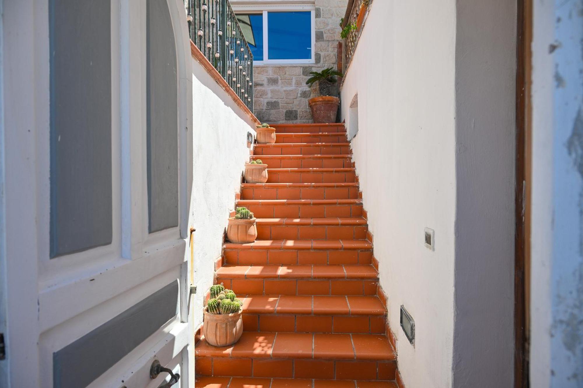 Nausicaa Forio (Isola d'Ischia)